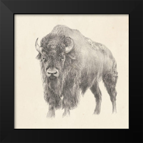 Western Bison Study Black Modern Wood Framed Art Print by Harper, Ethan