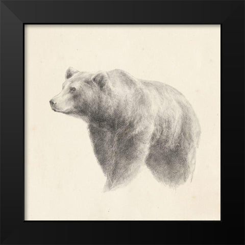 Western Bear Study Black Modern Wood Framed Art Print by Harper, Ethan