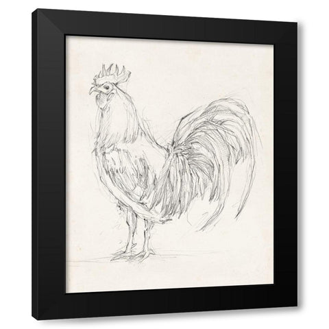 Rooster Sketch II Black Modern Wood Framed Art Print by Harper, Ethan