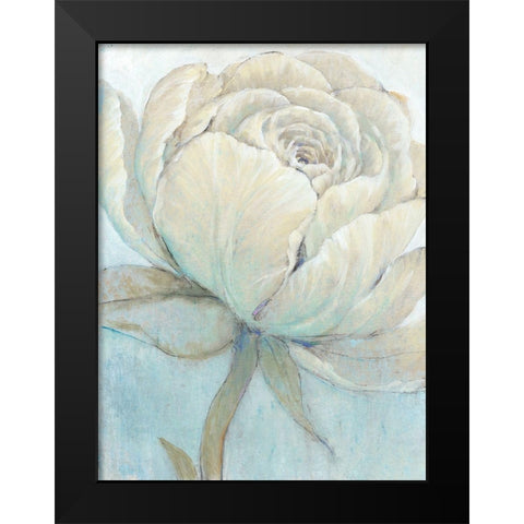 English Rose II Black Modern Wood Framed Art Print by OToole, Tim
