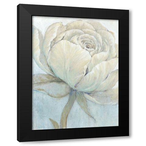 English Rose II Black Modern Wood Framed Art Print by OToole, Tim