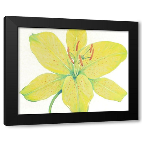 Citron Tiger Lily I Black Modern Wood Framed Art Print by OToole, Tim