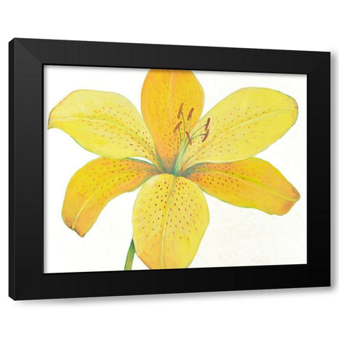 Citron Tiger Lily II Black Modern Wood Framed Art Print with Double Matting by OToole, Tim