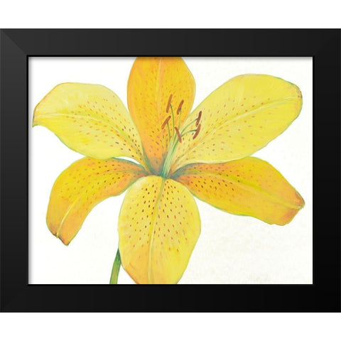 Citron Tiger Lily II Black Modern Wood Framed Art Print by OToole, Tim