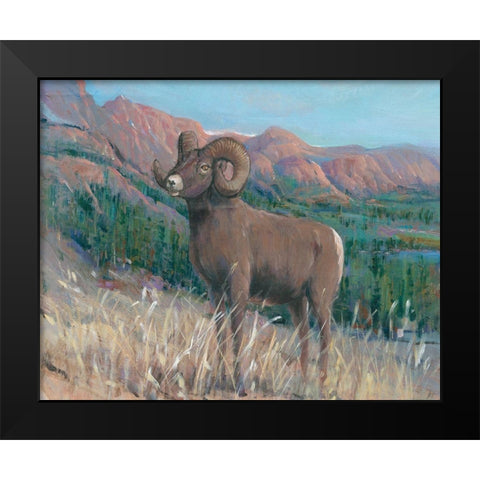 Animals of the West IV Black Modern Wood Framed Art Print by OToole, Tim