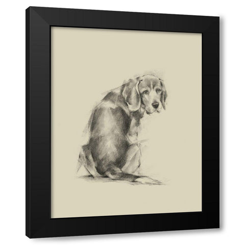 Puppy Dog Eyes I Black Modern Wood Framed Art Print by Harper, Ethan