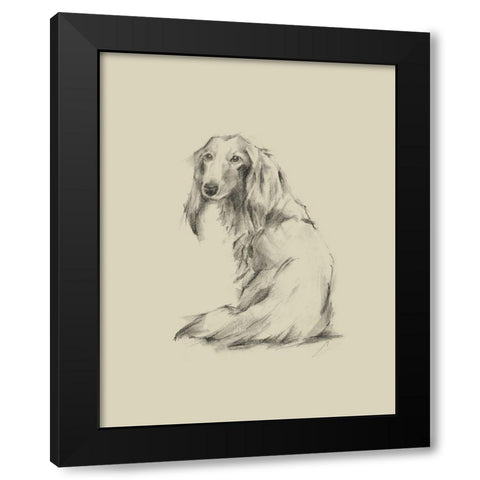 Puppy Dog Eyes II Black Modern Wood Framed Art Print by Harper, Ethan