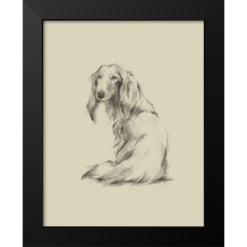 Puppy Dog Eyes II Black Modern Wood Framed Art Print by Harper, Ethan