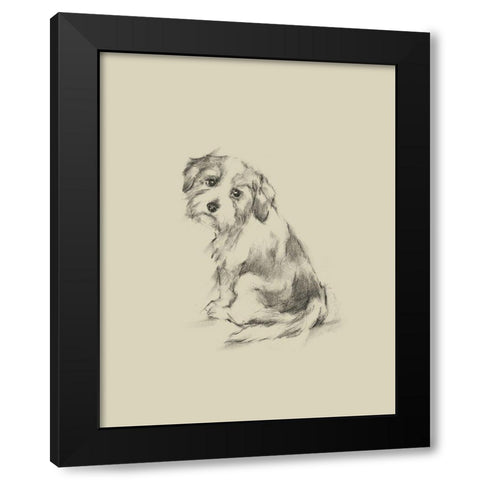 Puppy Dog Eyes III Black Modern Wood Framed Art Print by Harper, Ethan