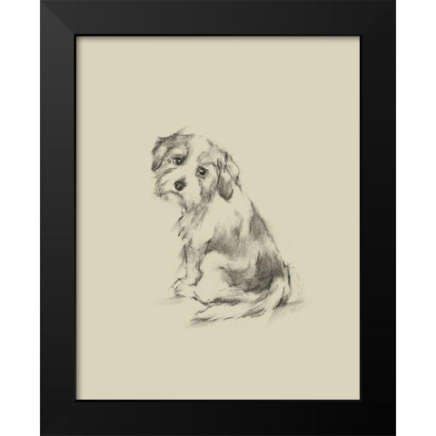 Puppy Dog Eyes III Black Modern Wood Framed Art Print by Harper, Ethan