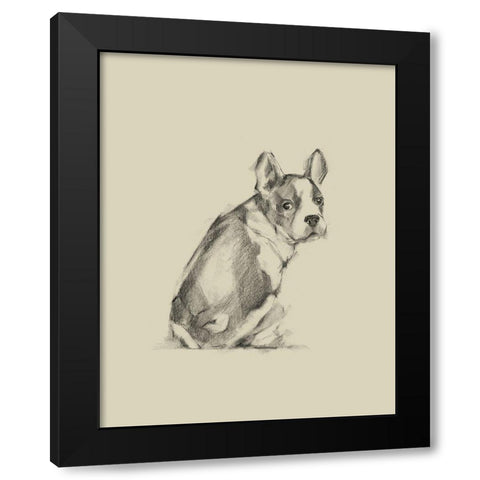 Puppy Dog Eyes IV Black Modern Wood Framed Art Print by Harper, Ethan