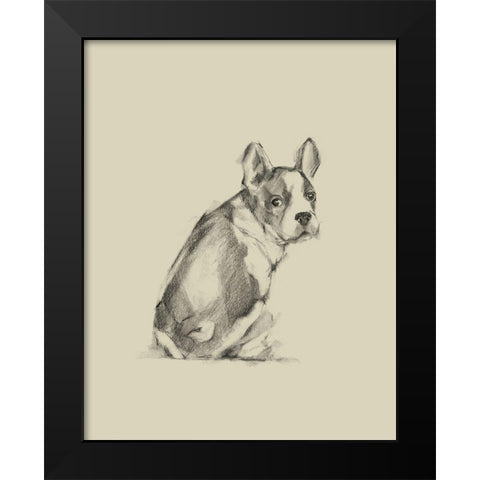 Puppy Dog Eyes IV Black Modern Wood Framed Art Print by Harper, Ethan