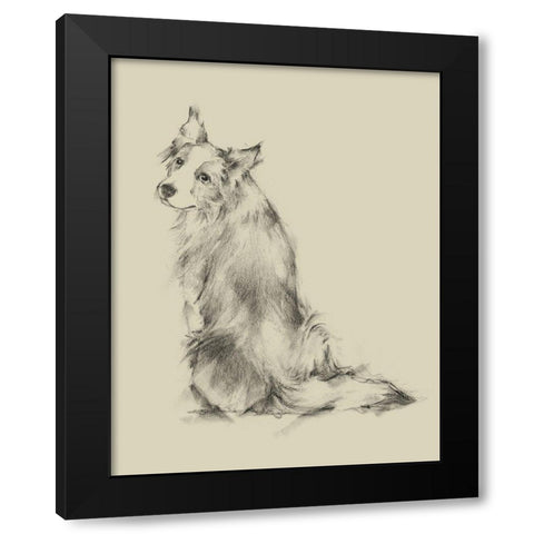 Puppy Dog Eyes VI Black Modern Wood Framed Art Print by Harper, Ethan