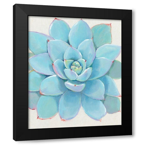 Pastel Succulent I Black Modern Wood Framed Art Print by OToole, Tim