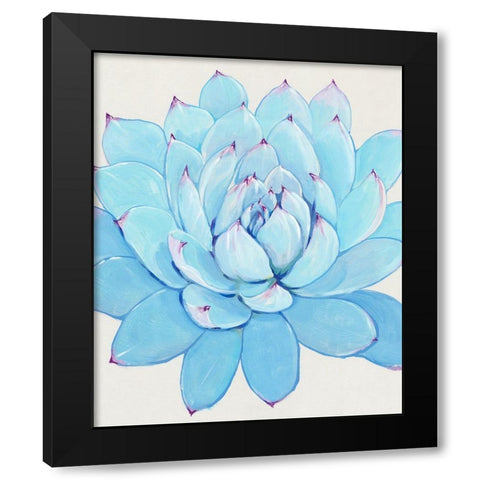 Pastel Succulent II Black Modern Wood Framed Art Print by OToole, Tim