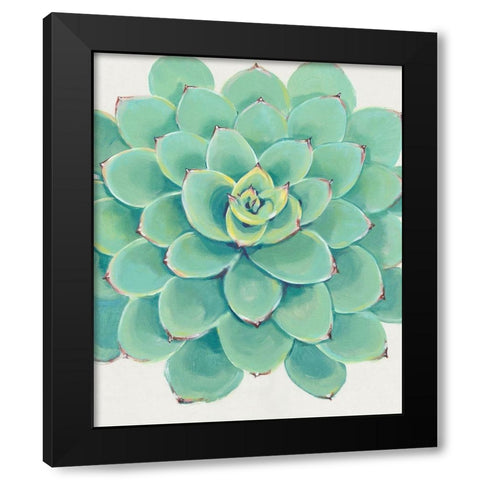 Pastel Succulent III Black Modern Wood Framed Art Print by OToole, Tim