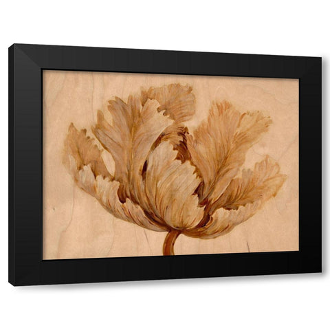 Sepia Tulip on Birch I Black Modern Wood Framed Art Print by OToole, Tim