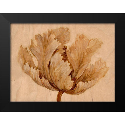Sepia Tulip on Birch I Black Modern Wood Framed Art Print by OToole, Tim