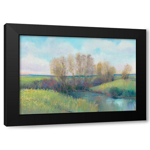 Hidden Stream II Black Modern Wood Framed Art Print by OToole, Tim