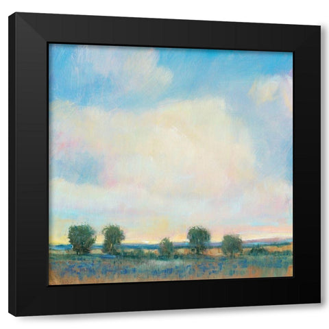 Summer Sky I Black Modern Wood Framed Art Print with Double Matting by OToole, Tim