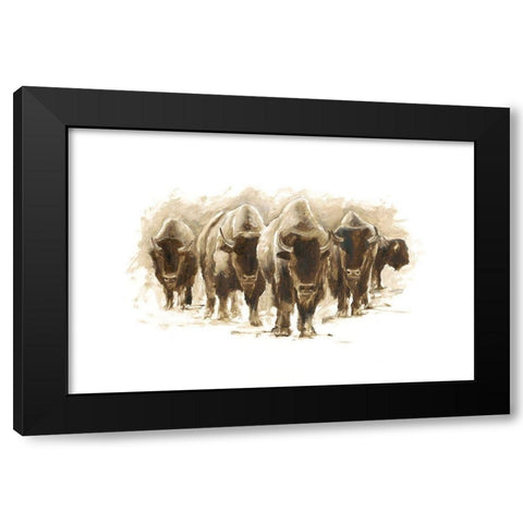 Herd of Bison I Black Modern Wood Framed Art Print by Harper, Ethan