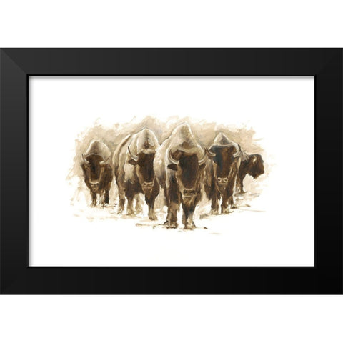 Herd of Bison I Black Modern Wood Framed Art Print by Harper, Ethan