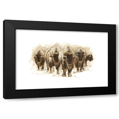 Herd of Bison I Black Modern Wood Framed Art Print by Harper, Ethan