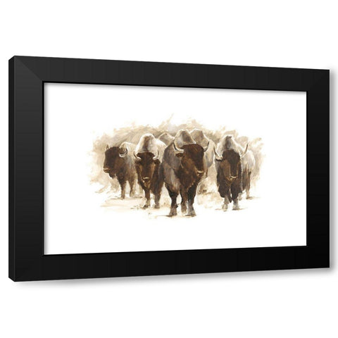 Herd of Bison II Black Modern Wood Framed Art Print by Harper, Ethan