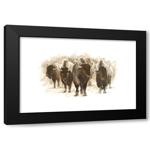 Herd of Bison II Black Modern Wood Framed Art Print with Double Matting by Harper, Ethan