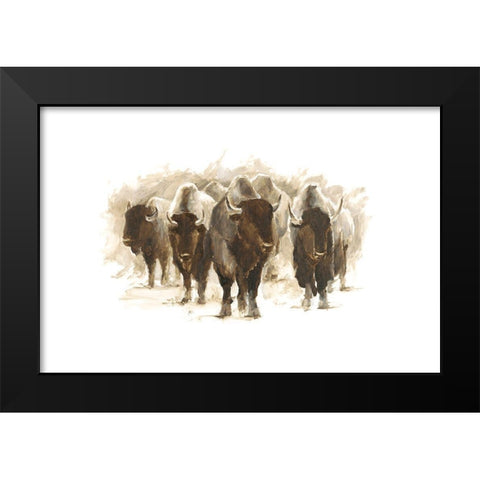 Herd of Bison II Black Modern Wood Framed Art Print by Harper, Ethan