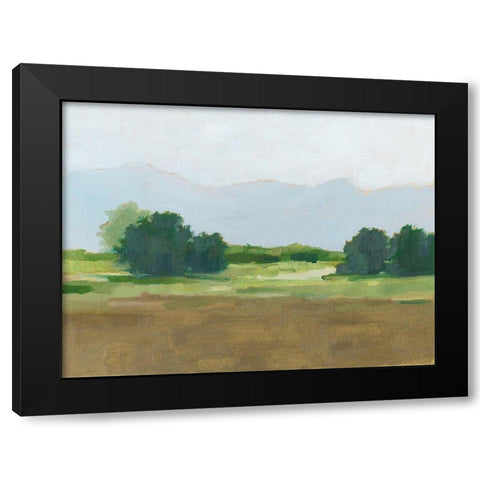 Viridian Shade II Black Modern Wood Framed Art Print by Harper, Ethan