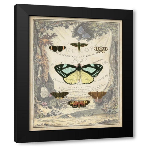 Vintage Butterfly Bookplate Black Modern Wood Framed Art Print with Double Matting by Vision Studio