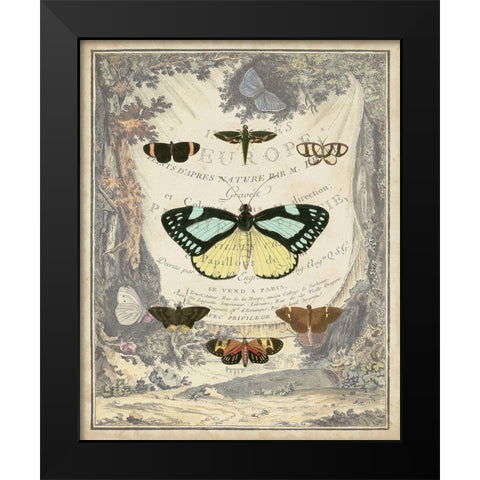 Vintage Butterfly Bookplate Black Modern Wood Framed Art Print by Vision Studio