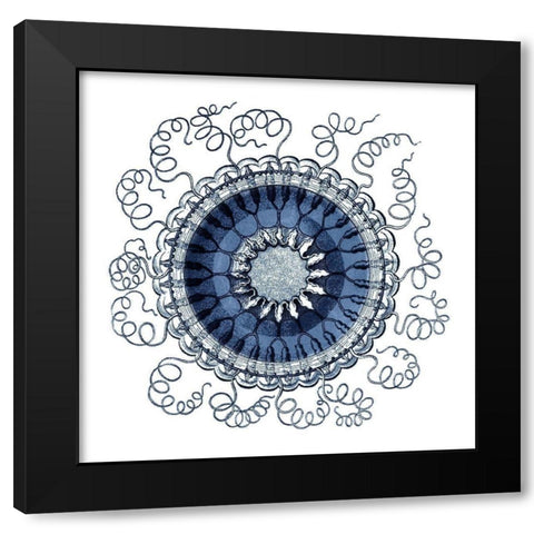 Navy Ocean Gems III Black Modern Wood Framed Art Print with Double Matting by Vision Studio