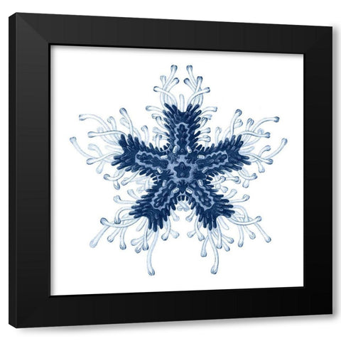 Navy Ocean Gems IV Black Modern Wood Framed Art Print with Double Matting by Vision Studio