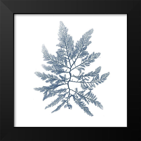 Navy Seaweed II Black Modern Wood Framed Art Print by Vision Studio