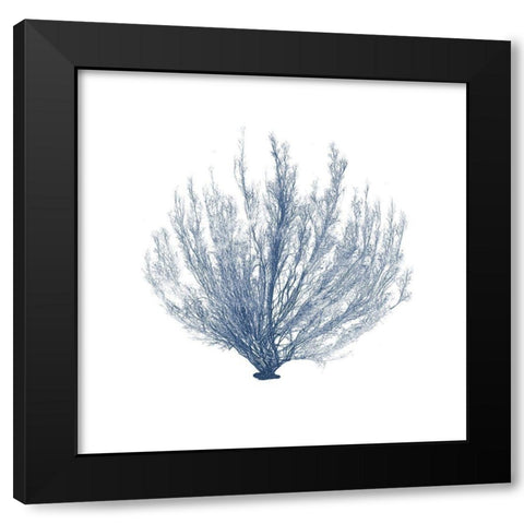 Navy Seaweed VI Black Modern Wood Framed Art Print with Double Matting by Vision Studio