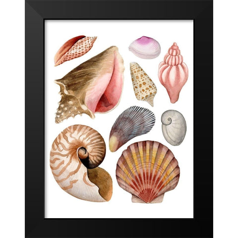 Sea Souvenirs II Black Modern Wood Framed Art Print by Popp, Grace