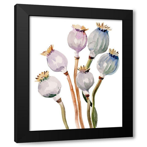Watercolor Poppy Pods I Black Modern Wood Framed Art Print by Parker, Jennifer Paxton