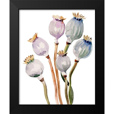 Watercolor Poppy Pods I Black Modern Wood Framed Art Print by Parker, Jennifer Paxton