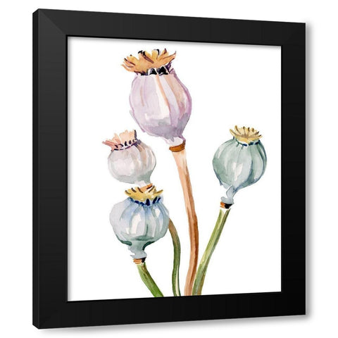 Watercolor Poppy Pods II Black Modern Wood Framed Art Print by Parker, Jennifer Paxton