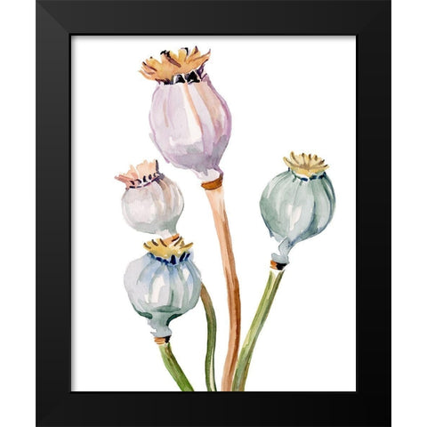Watercolor Poppy Pods II Black Modern Wood Framed Art Print by Parker, Jennifer Paxton