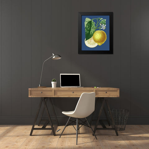 French Lemon on Navy I Black Modern Wood Framed Art Print by Risso, A.