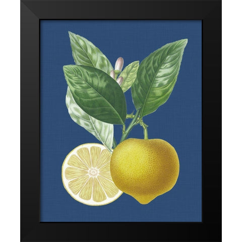 French Lemon on Navy II Black Modern Wood Framed Art Print by Risso, A.