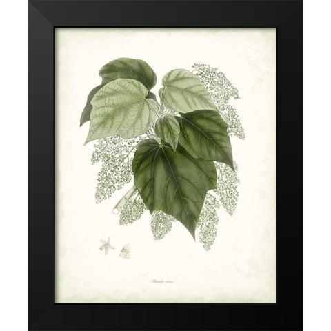 Sage Botanical III Black Modern Wood Framed Art Print by Vision Studio