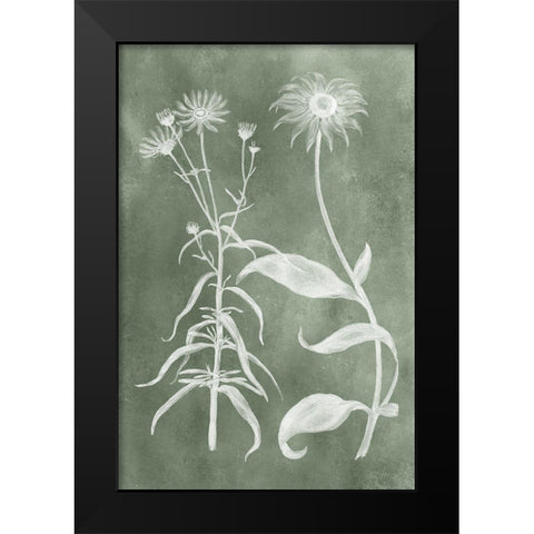 Sage Impressions IV Black Modern Wood Framed Art Print by Vision Studio
