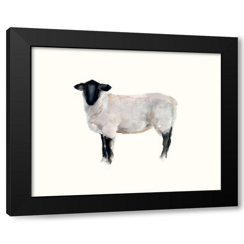 Farm Animal Study I Black Modern Wood Framed Art Print by Harper, Ethan