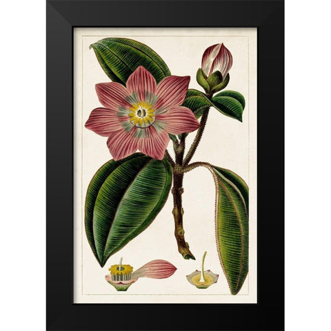 Mauve Botanicals VI Black Modern Wood Framed Art Print by Unknown