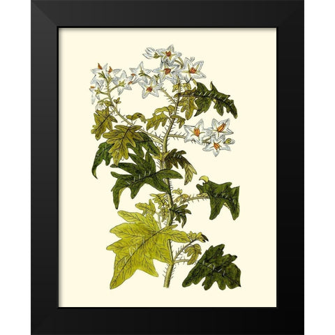 Olive Greenery VI Black Modern Wood Framed Art Print by Unknown