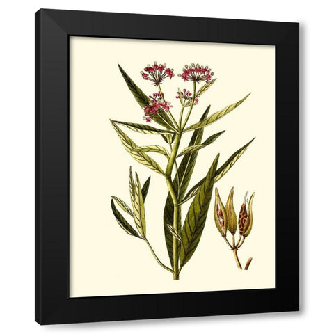 Olive Greenery VIII Black Modern Wood Framed Art Print with Double Matting by Unknown